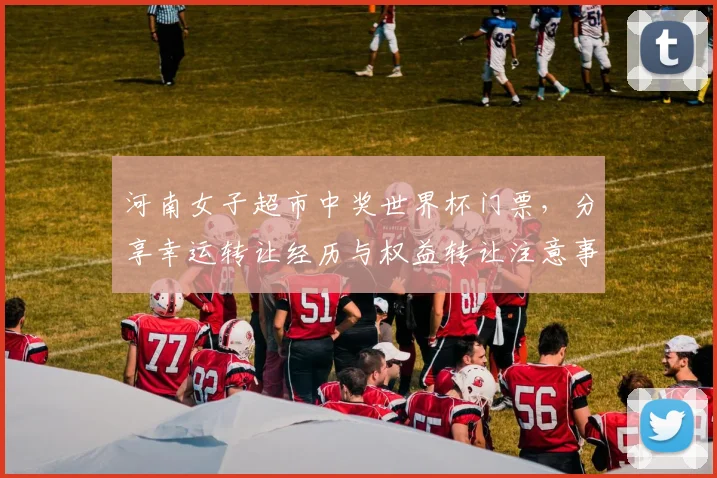 河南女子超市中奖世界杯门票，分享幸运转让经历与权益转让注意事项