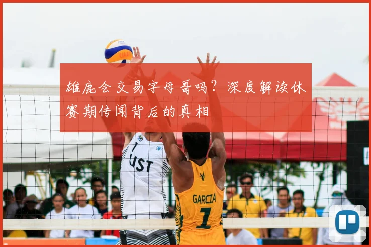 雄鹿会交易字母哥吗？深度解读休赛期传闻背后的真相